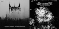 STRIBORG - SCURSHAHOR Split 7"