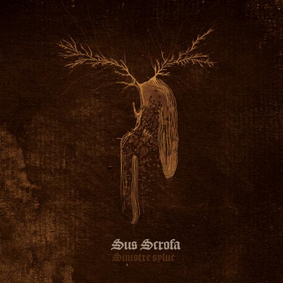 SUS SCROFA SINISTRE SYLVA