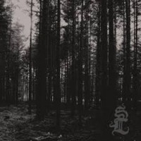 SVARTI LOGHIN Skog