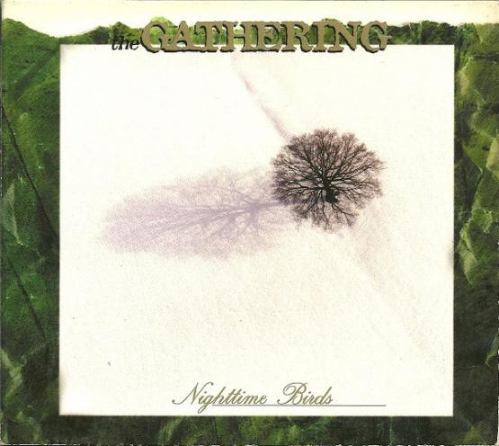 THE GATHERING Nightime birds