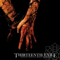 THIRTEEN EXILE Assorted chaos and broken machinery