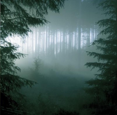 THY SERPENT Forest of Witchery