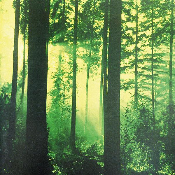 THY SERPENT Forest of Witchery