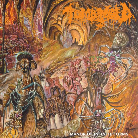 TOMB MOLD Manor of infinite forms