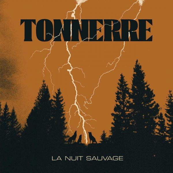 TONNERRE La nuit sauvage