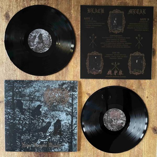 TORNEN Under Körpens Visdom