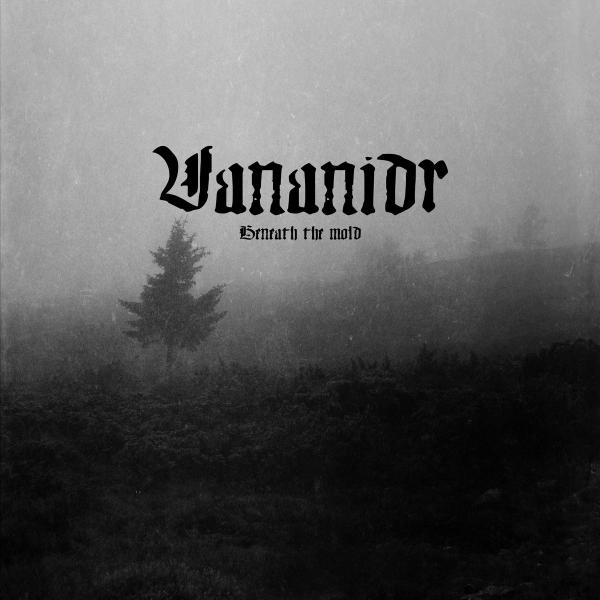 VANANIDR Beneath the Mold (ltd. grey/black splatter)