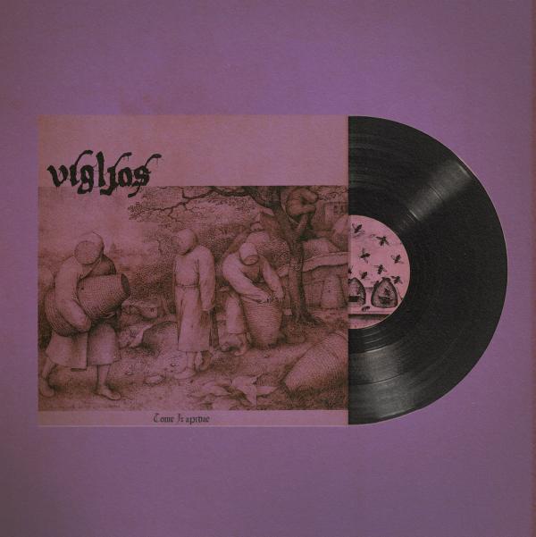 VIGLJOS Tome I: apidae