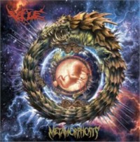 VILE Metamorphosis