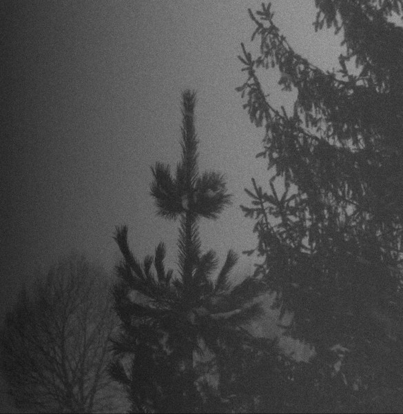  VINTLECHKEIT ALDRIG... / DODSSTED...