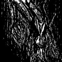 VLAD TEPES Morte Lune - 2013