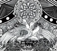 WOLD Working together for our privacy - Digipack