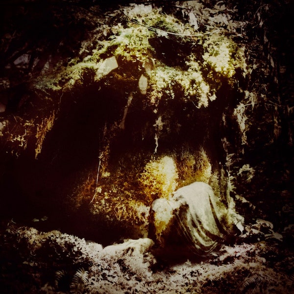 WOLVES IN THE THRONE ROOM Celestial Lineage