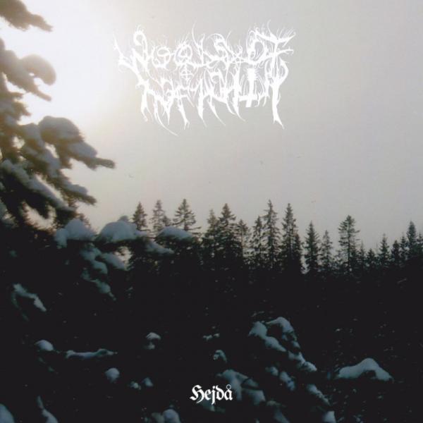 WOODS OF INFINITY Hejda