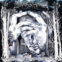 WOODS OF YPRES WOODS 5 : Grey skies & electric light